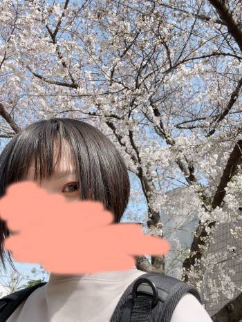 桜だ！（2024/04/02 10:35）村西 ことみのブログ画像